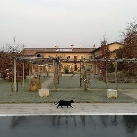 A Mira 'D Novel Konuk evi Novello Dış mekan fotoğraf